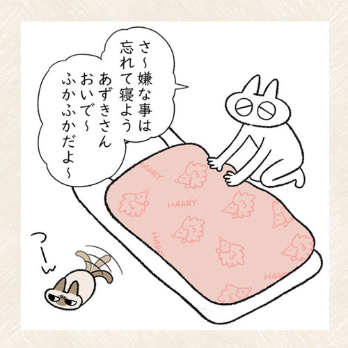 怒ってても一緒に寝たい猫