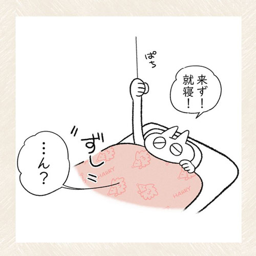 怒ってても一緒に寝たい猫