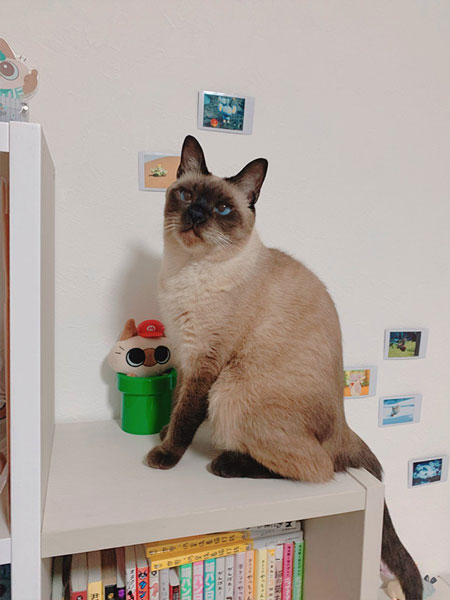 キレイに治りました