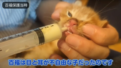 百福は目と耳が不自由な子だった