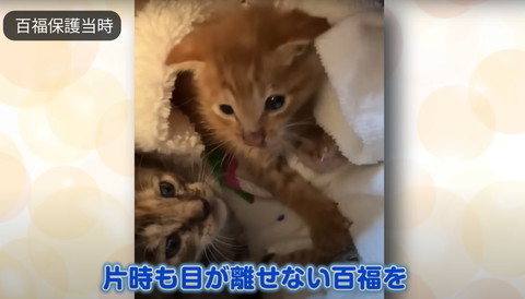 片時も目が離せない