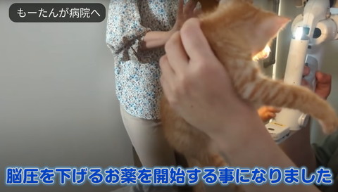 脳圧を下げるお薬を