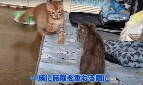 一緒に時間を重ねる