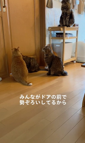 みんながドアの前で勢ぞろいしてるから