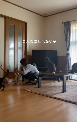 こんな幸せはない