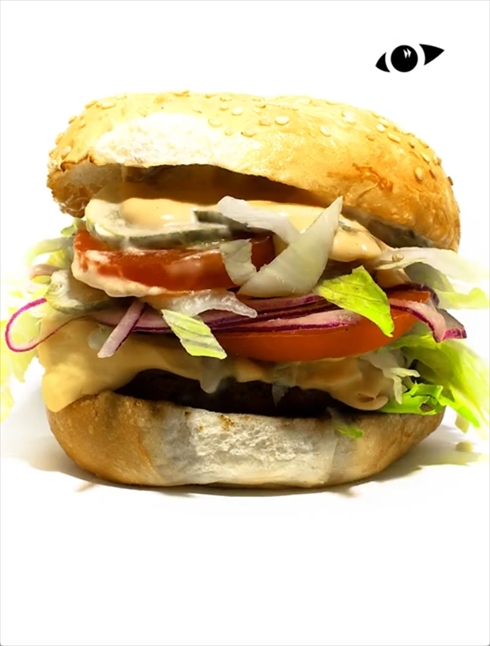 バーガー　腐敗　タイムラプス動画