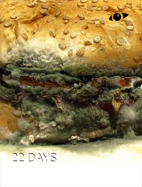 バーガー　腐敗　タイムラプス動画