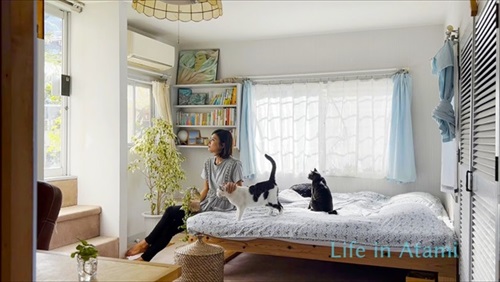 おうち猫カフェ