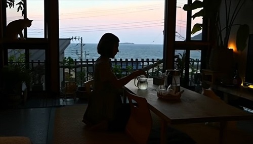 おうち猫カフェ