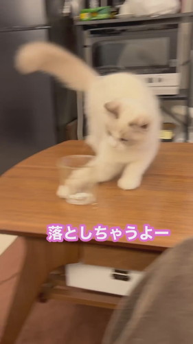 まいんちゃんと遊ばないと……