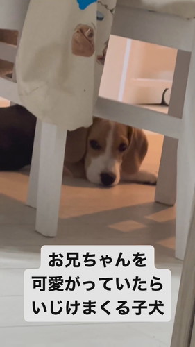 いじけてしまったまめたくん