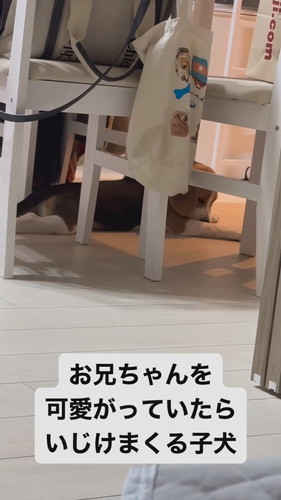 いじけてしまったまめたくん