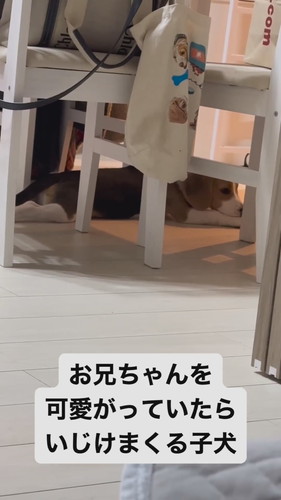 いじけてしまったまめたくん