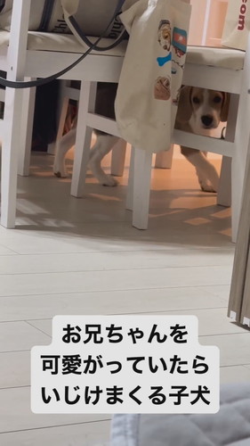 いじけてしまったまめたくん