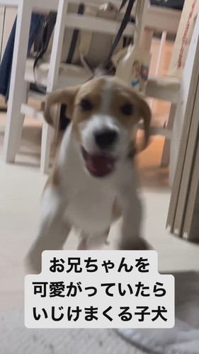 いじけてしまったまめたくん