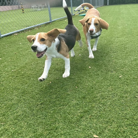 いさきくんとまめたくん