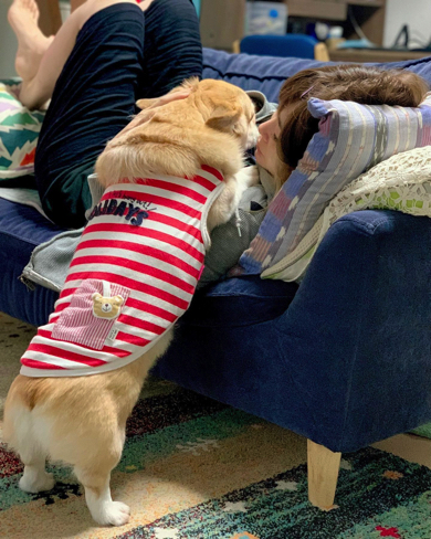 ママさんが大好きなコーギー