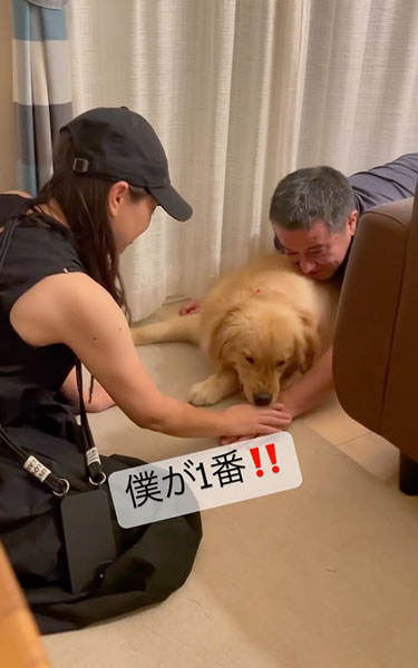 一番になりたいデカワンコ