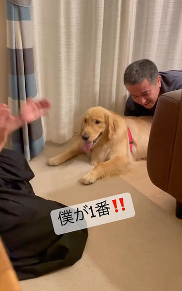 一番になりたいデカワンコ