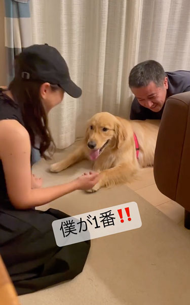 一番になりたいデカワンコ