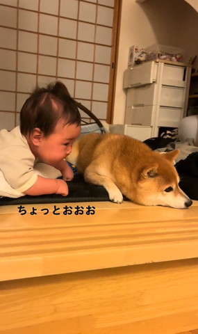 ちょっとおおお