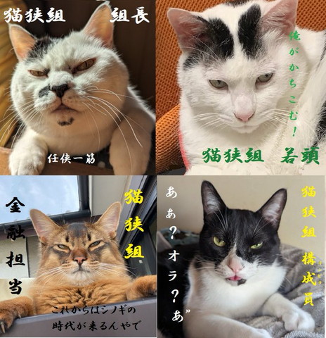 4にゃんのコラージュ