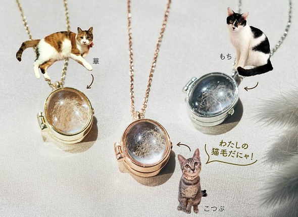 猫毛ロケット01