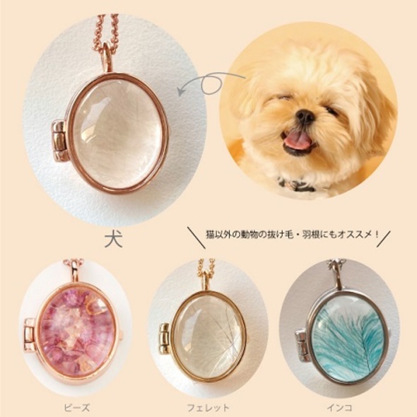 猫毛ロケット08