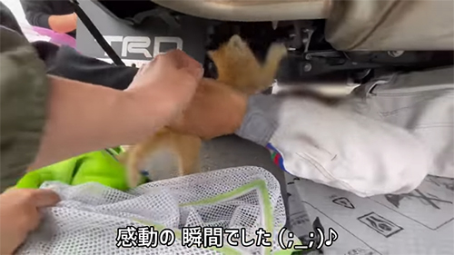猫を救出して感動の瞬間