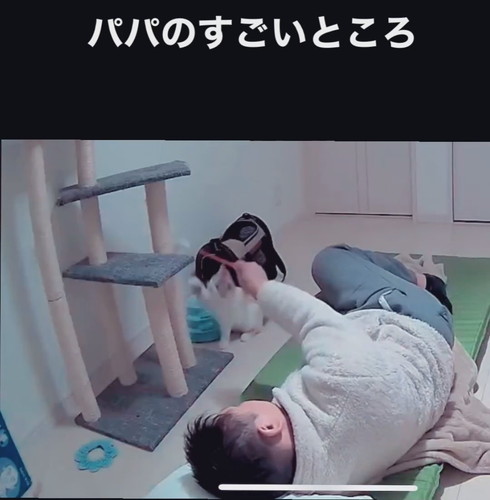 「パパ人気のひみつ」