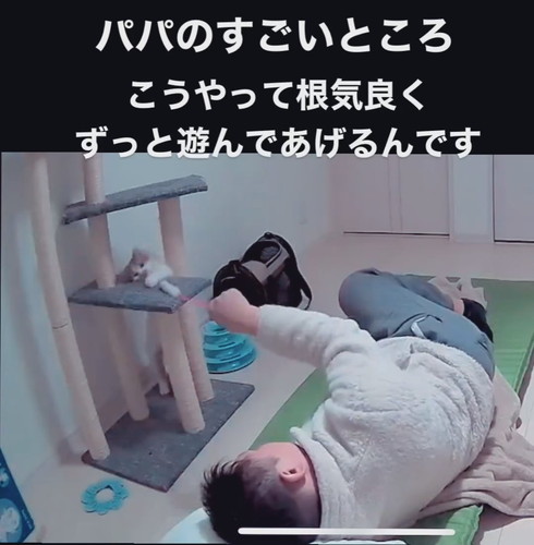 「パパ人気のひみつ」