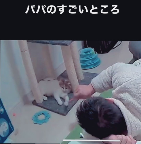 「パパ人気のひみつ」