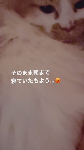 「パパ人気のひみつ」