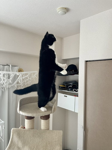 2本足立ちするたろうくん