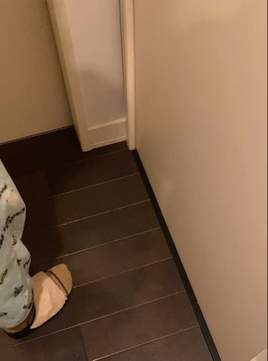 扉の前からすでに聞こえる子猫ちゃんたちの鳴き声