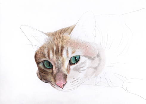 毛の1本まで細かく描かれています