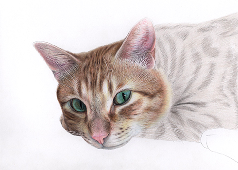 どこかにハートマークが！