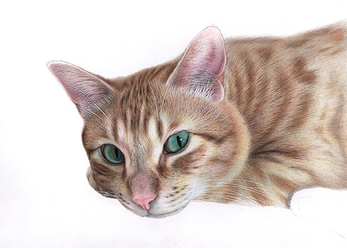 完成まであと少し