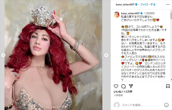 叶姉妹の“何も入らないバッグ”シリーズ