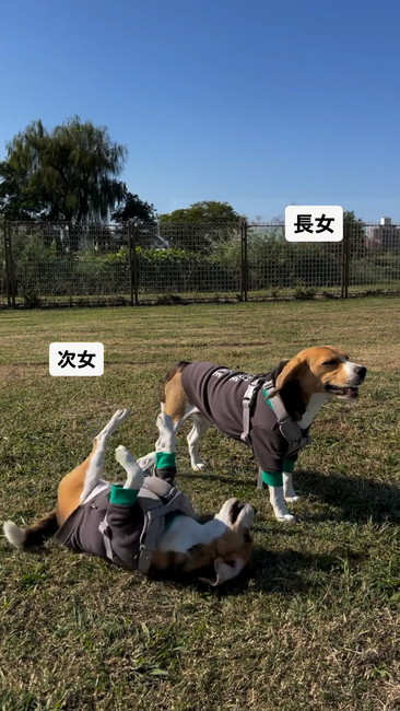 チラリと姉を見る