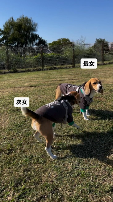 姉のそばへ行く