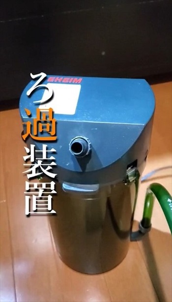 金魚で野菜を育てるアクアポニックス装置