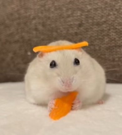 にんじんを食べるハムスター