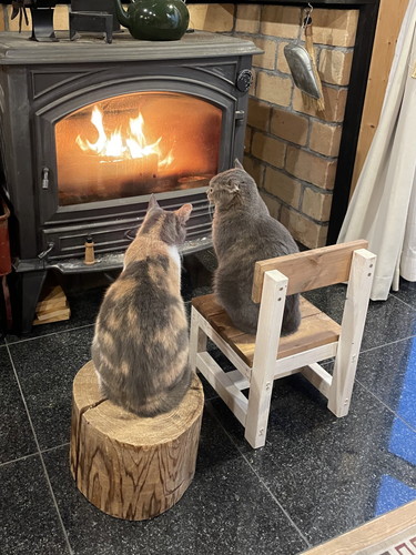 猫ちゃんたちあたたかそう