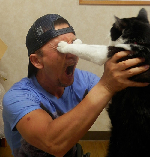 よき思い出トリミング