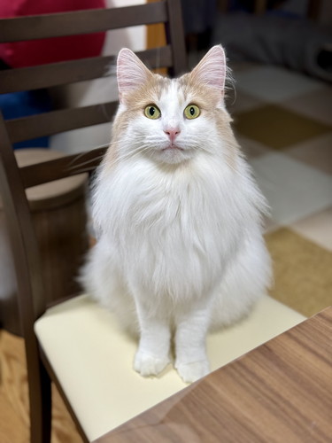 ごはんまちエドリーくん