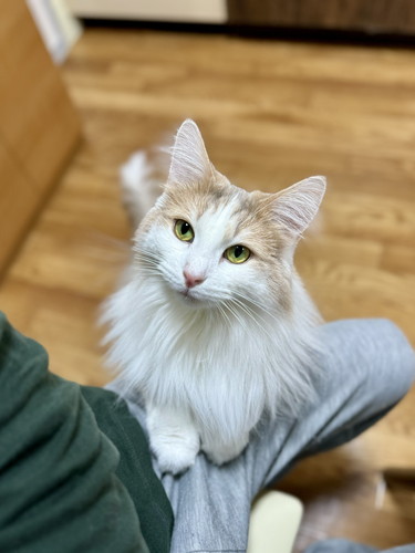 さそうエドリーくん