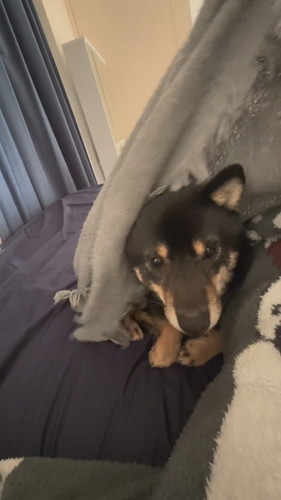 朝起きたら横がモゾモゾしていて……