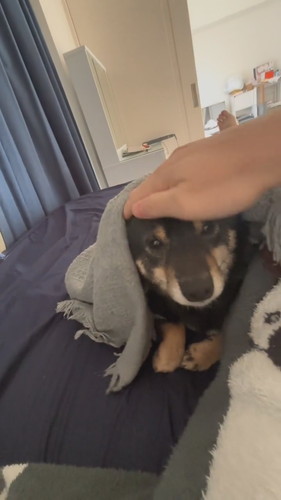 朝起きたら横がモゾモゾしていて……