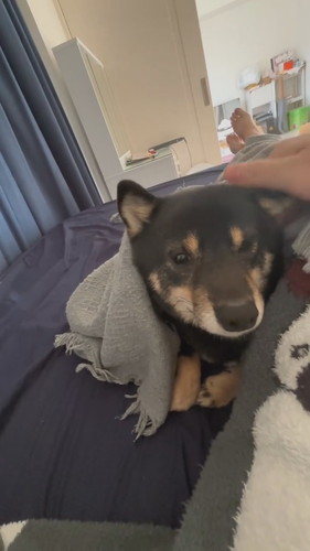 朝起きたら横がモゾモゾしていて……